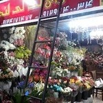 بازار گل و گیاه