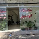 نمایشگاه اتومبیل باران