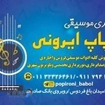 فروشگاه موسیقی پاپ ایرونی