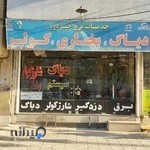 برق و انژکتور آریان