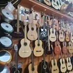 فروشگاه موسیقی دارکوب