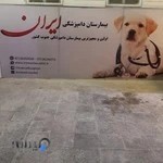 بیمارستان دامپزشکی ایران