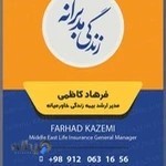 بیمه زندگی خاورمیانه مدیریت منطقه