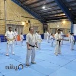 باشگاه کیوکوشین کاراته سنسی علیپور