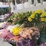 گل فروشی بین الملل