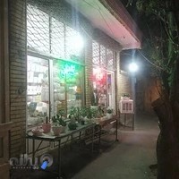 دنیای گل و گلدان مارانتا