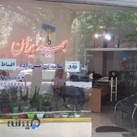 بیمه ایران نمایندگی حسن زاده