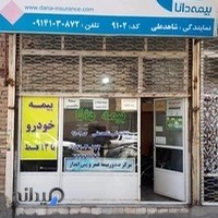 بیمه دانا نمایندگی شاهدعلی ۹۱۰۲