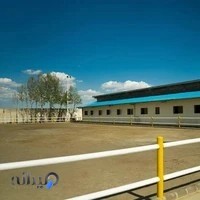 Hesam Horse Riding Club - باشگاه سوارکاری حسام