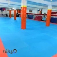 باشگاه ورزشی شهید باهنر