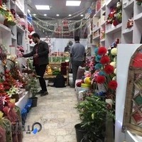 گلسرای کاکتوس