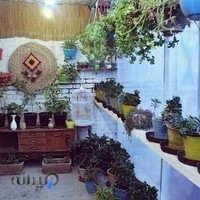 آموزشگاه موسیقی عطار