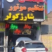 برق خودرو های ایرانی و چینی مظلوم پناه