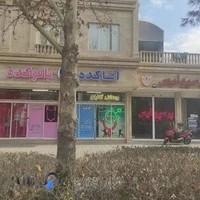 فروشگاه زناشویی آقاکده