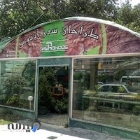 گل و گیاه طراحان سبز آبنوس