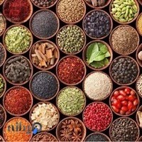 عطاری احیای سلامت ولیعصر