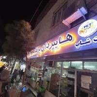 هایپر دان پت شاپ تهرانی