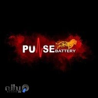 Pulse Battery ( Sale )