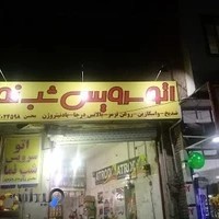 اتو سرویس شب نما