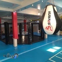 باشگاه MMA مسعود فرجی