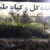 نمایشگاه گل و گیاه طبیعت