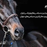 فروشگاه آنلاین لوازم سوارکاری و اسب IRHORSE