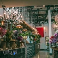 فروشگاه گل، گلدان پینکی فلاور plant shop