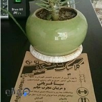 باشگاه کلاسیک