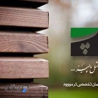 ترمووود پالیز