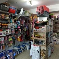 پت شاپ سالوکی petshop saluki