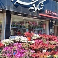 گل فروشی شکوفه سرا