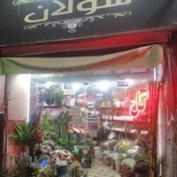 گلفروشی سولان