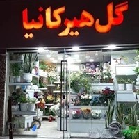 گل فروشی هیرکانیا