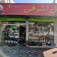 گل اشرفی