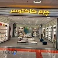 چرم کاکتوس شعبه مگامال