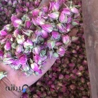 پخش عطاری سیب سبز