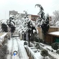 بیمه ما