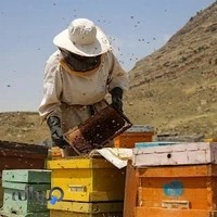 روستایی | roustaee