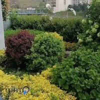 شرکت مجری باغ بام Elgreen