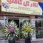 گل فروشی کاملیا کرمان