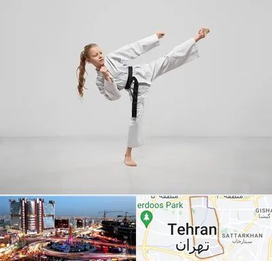 باشگاه کاراته بانوان در صادقیه 