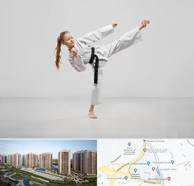 باشگاه کاراته بانوان در المپیک 