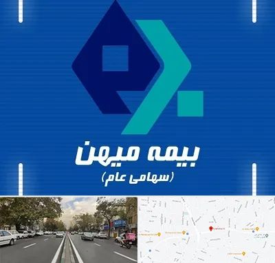 بیمه میهن در دولت