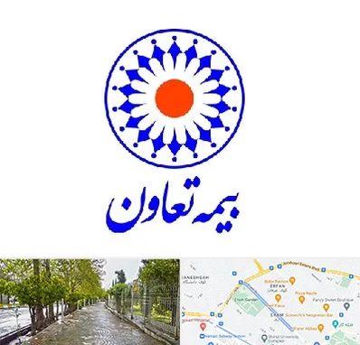بیمه تعاون در خیابان ارم شیراز