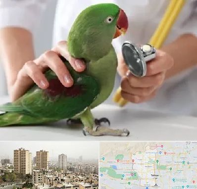 درمانگاه شبانه روزی پرندگان در منطقه 5 تهران 