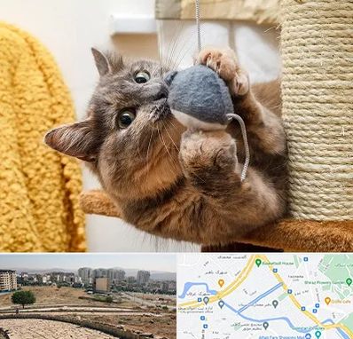 خرید اسباب بازی گربه در کوی وحدت شیراز