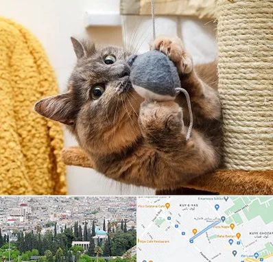 خرید اسباب بازی گربه در محلاتی شیراز
