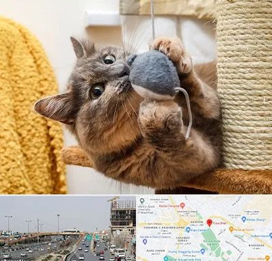 خرید اسباب بازی گربه در بلوار توس مشهد