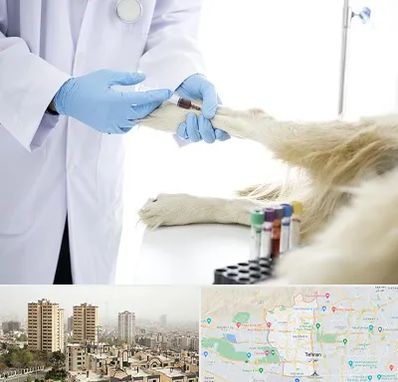 آزمایشگاه حیوانات در منطقه 5 تهران 