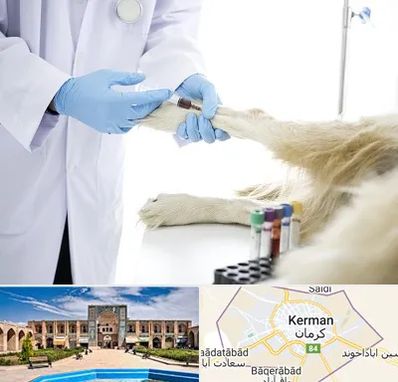 آزمایشگاه حیوانات در کرمان